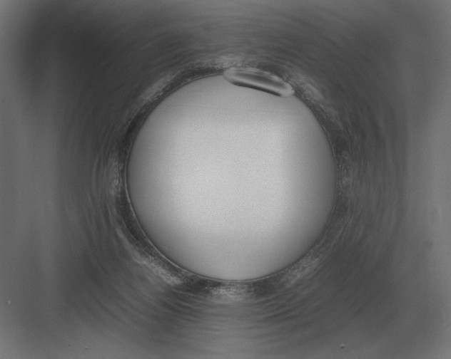 X0000082150164200702092200