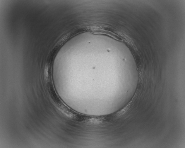 X0000082150166200702092200