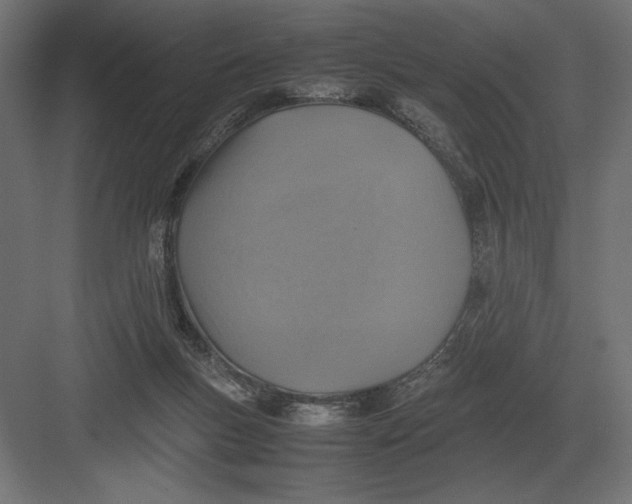 X0000082150167200702092200