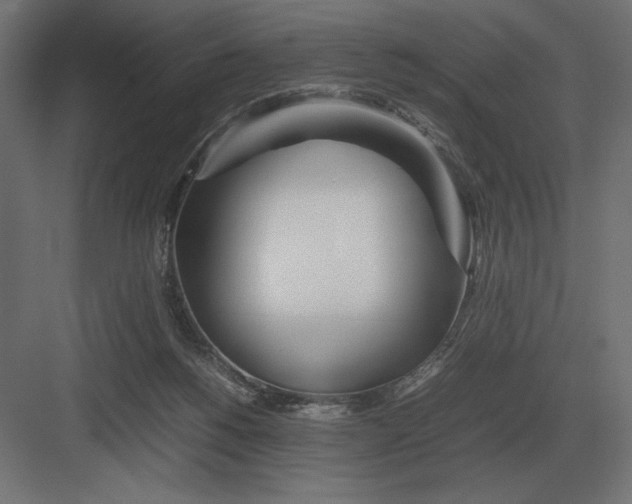 X0000082150168200702092200