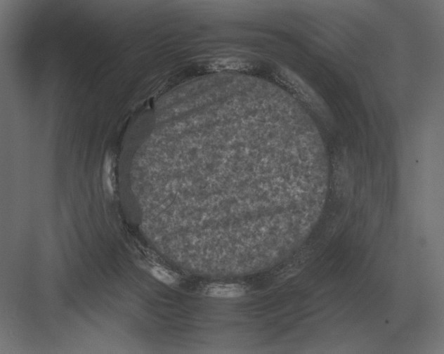 X0000082150169200702092200