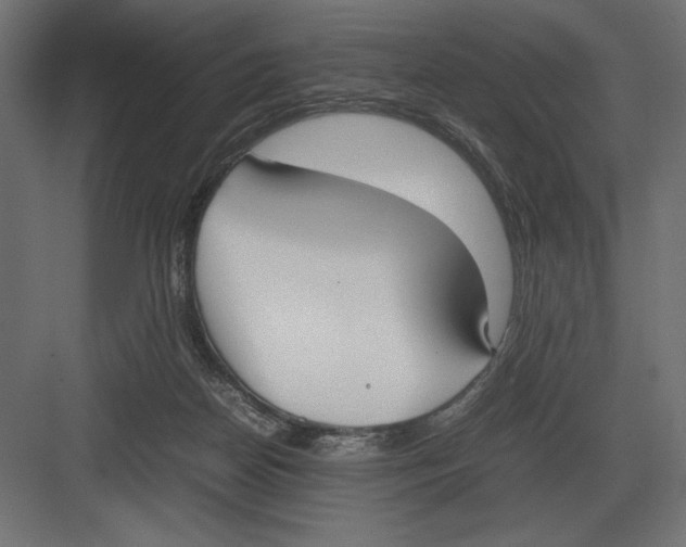 X0000082150170200702092200