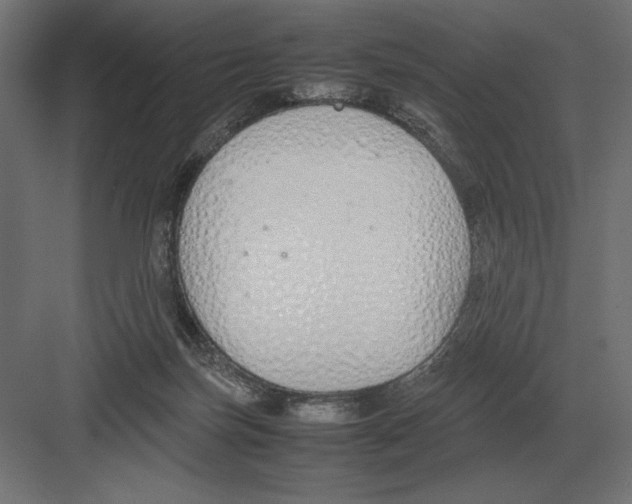 X0000082150171200702092200