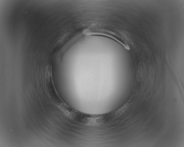 X0000082150172200702092200