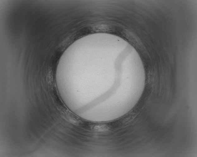 X0000082150173200702092200