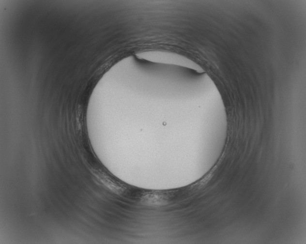 X0000082150174200702092200