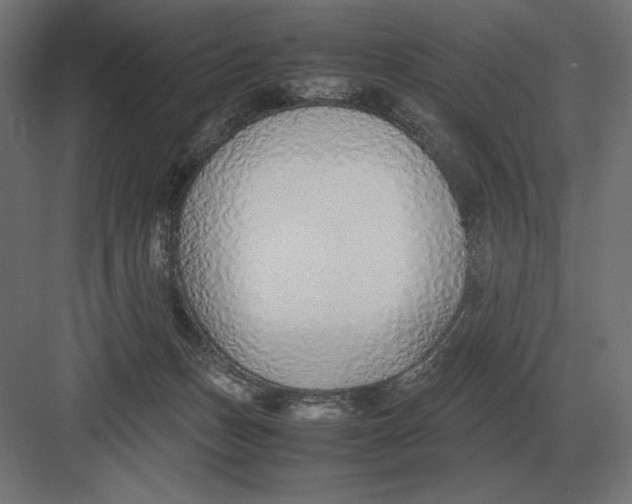 X0000082150175200702092200