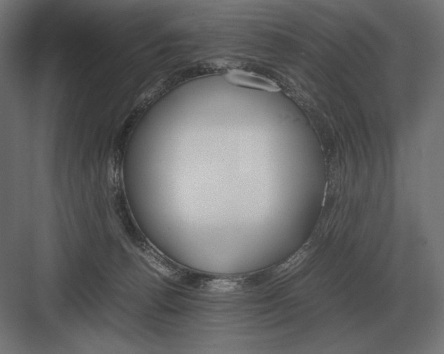 X0000082150176200702092200