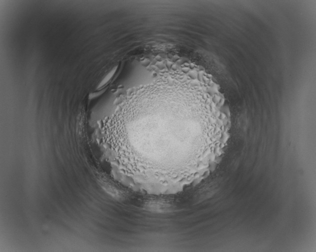 X0000082150177200702092200