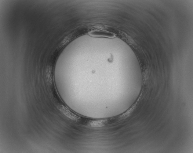 X0000082150178200702092200