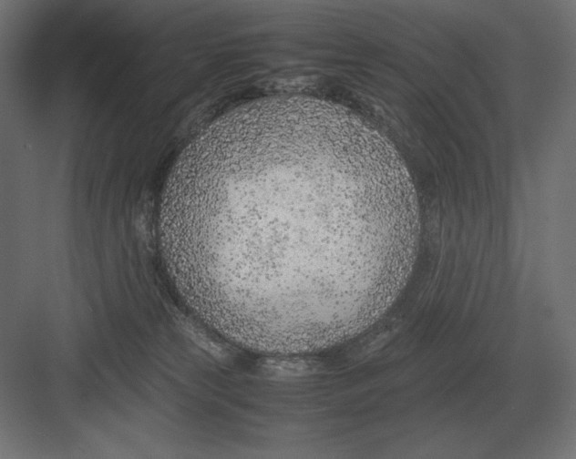 X0000082150181200702092200