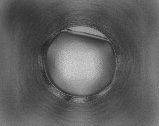 X0000082150182200702092200