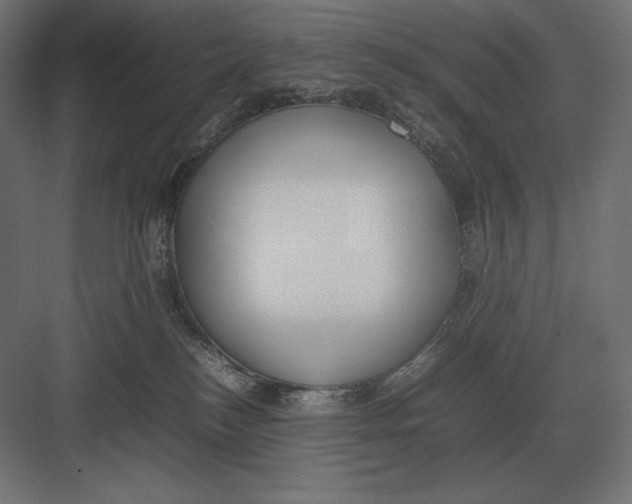 X0000082150184200702092200