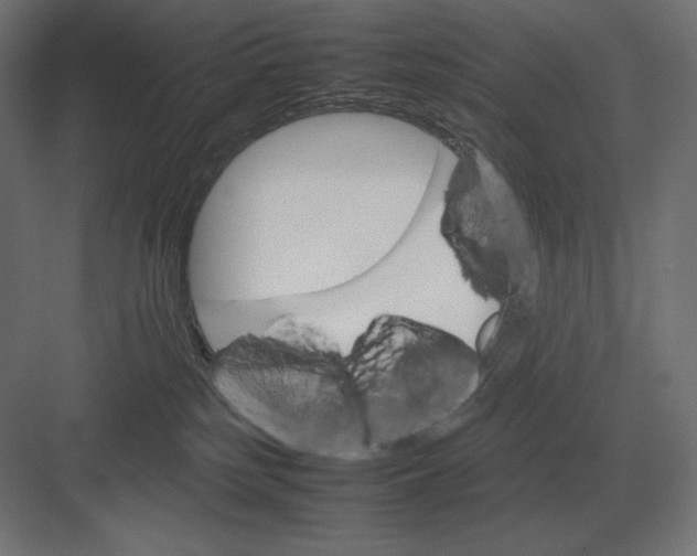 X0000082150185200702092200