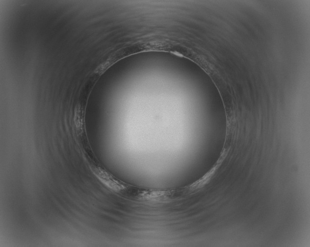 X0000082150186200702092200