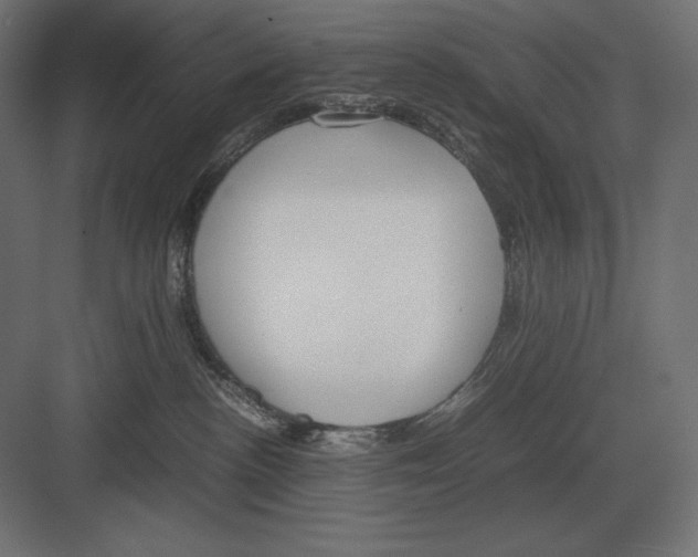 X0000082150188200702092200