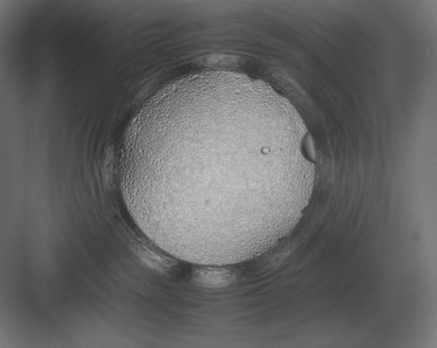 X0000082150189200702092200