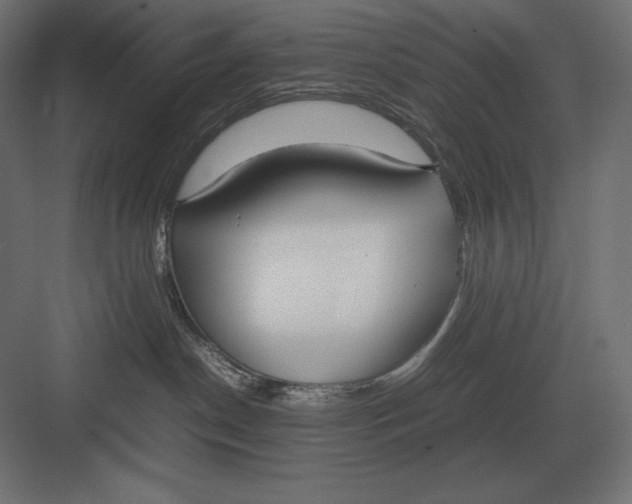 X0000082150190200702092200