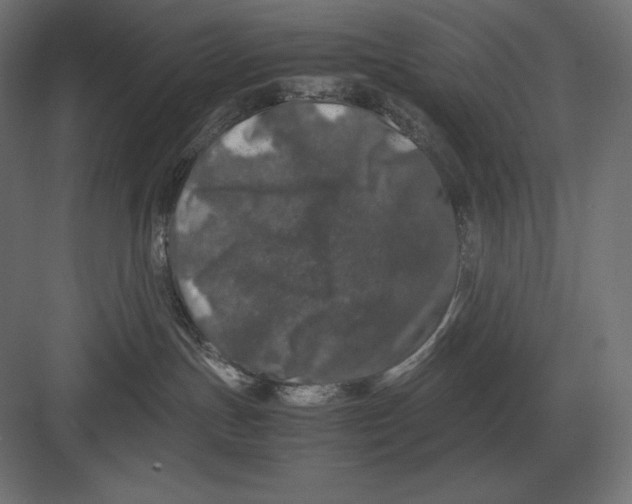 X0000082150191200702092200