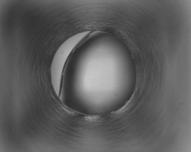 X0000082150192200702092201