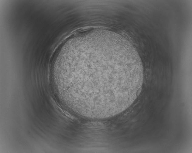 X0000082150194200702092200