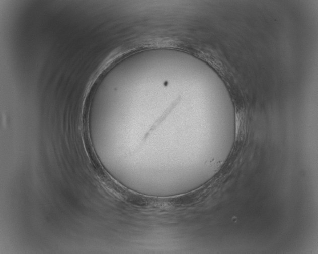 X0000082150195200702092200