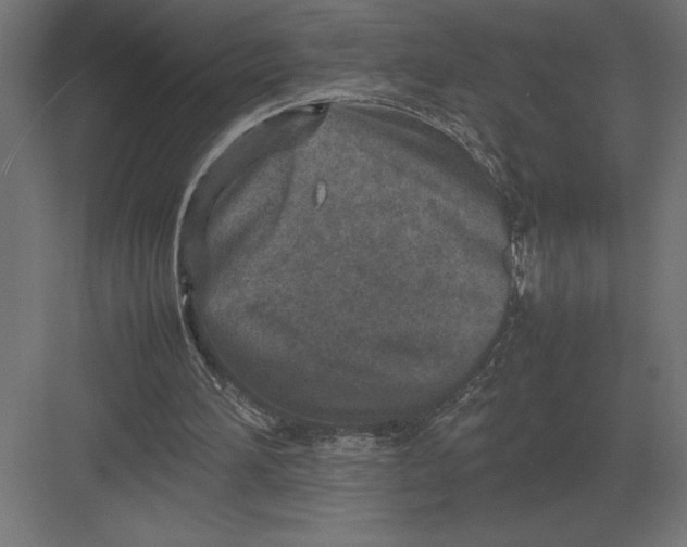 X0000082150196200702092200