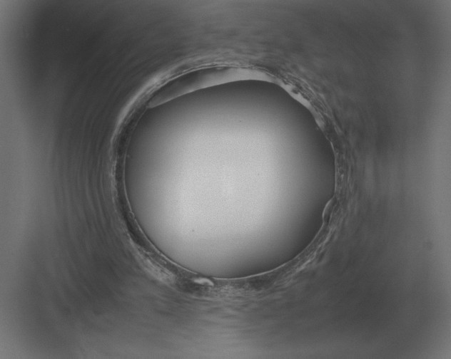 X0000082150197200702092200