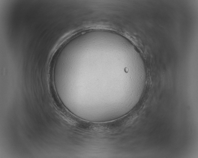 X0000082150199200702092200