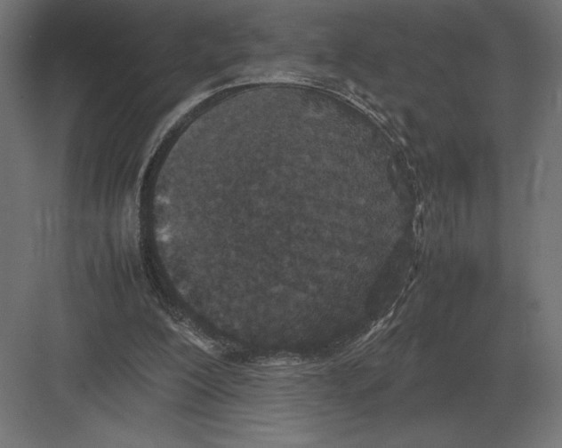 X0000082150200200702092200