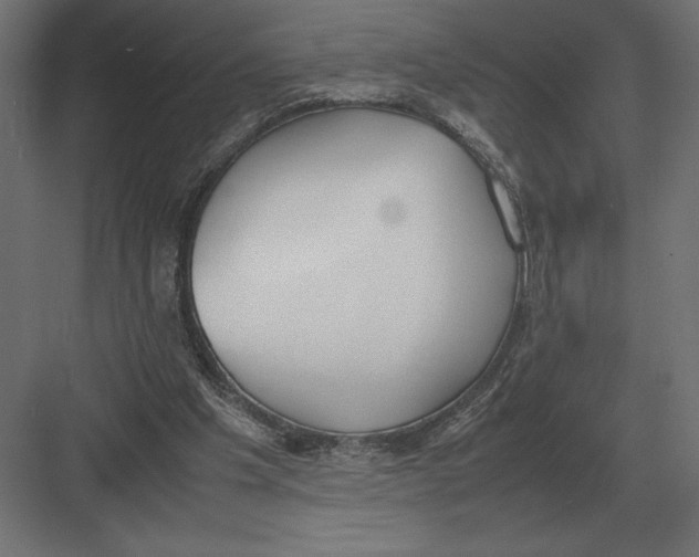 X0000082150201200702092200