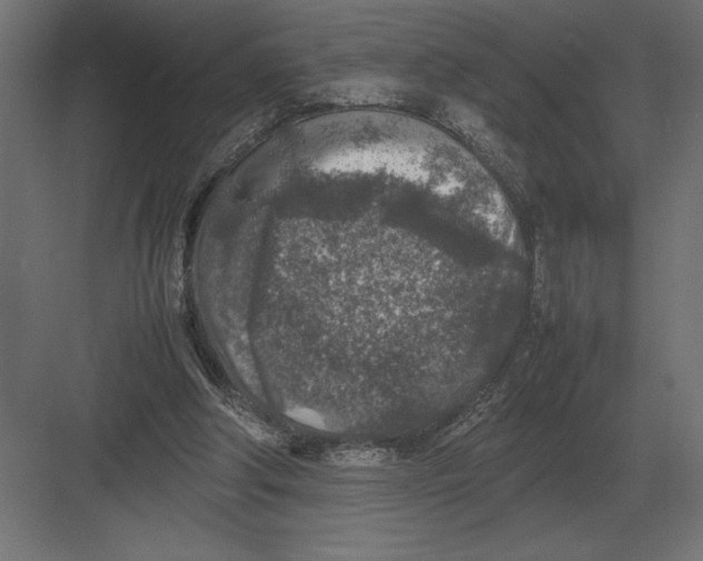 X0000082150202200702092200