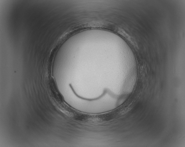 X0000082150203200702092200