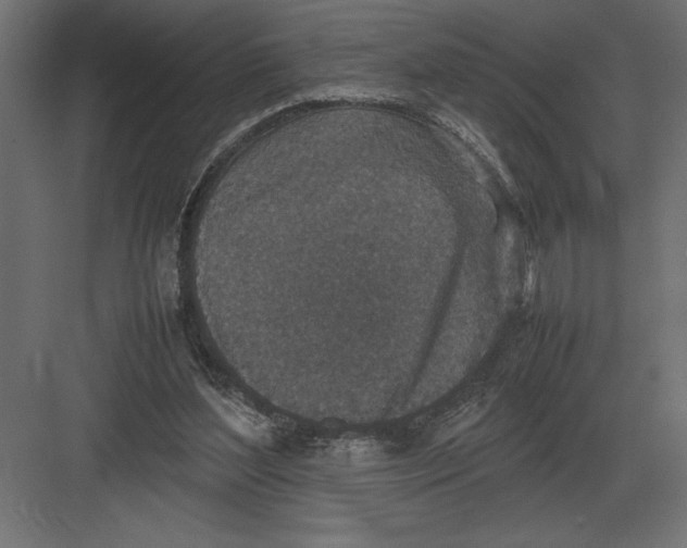 X0000082150204200702092200