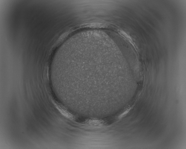 X0000082150205200702092159