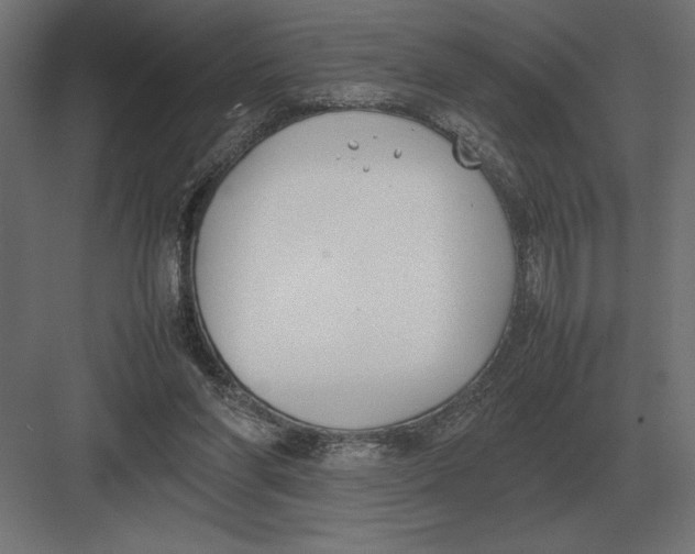 X0000082150206200702092159