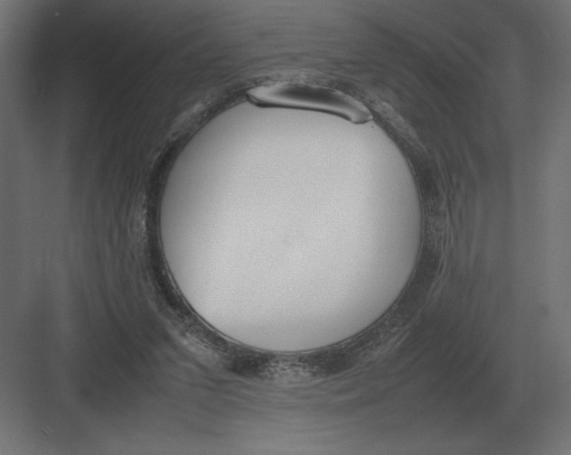 X0000082150207200702092159