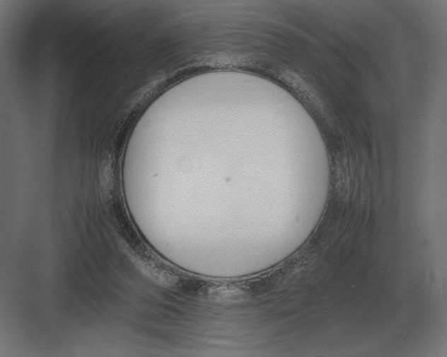 X0000082150208200702092159