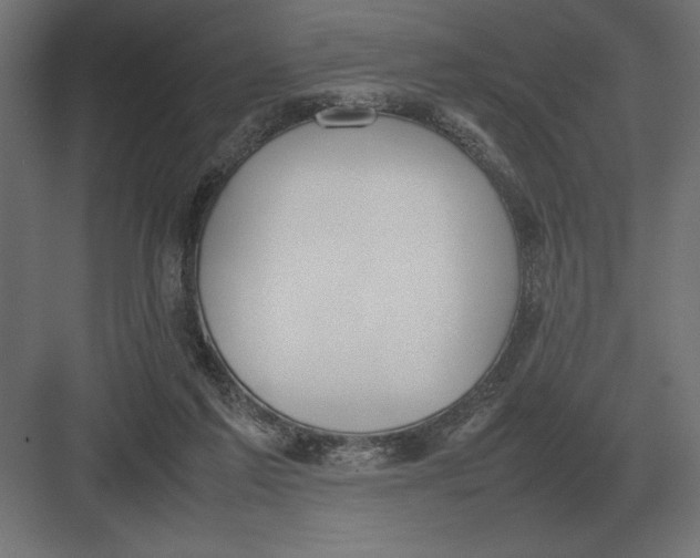 X0000082150213200702092159