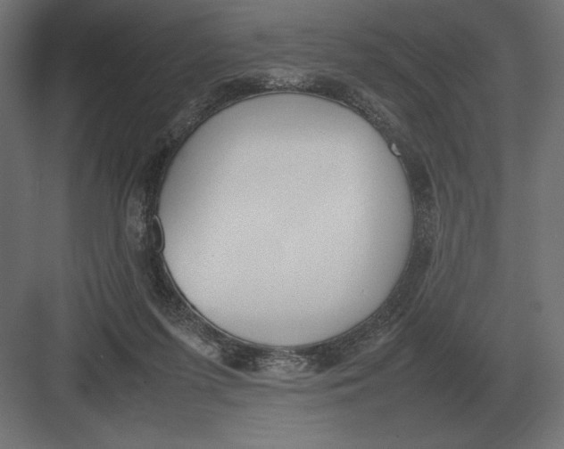 X0000082150215200702092159