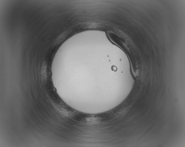 X0000082150216200702092159