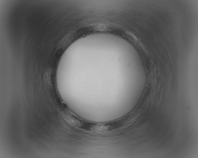 X0000082150217200702092159