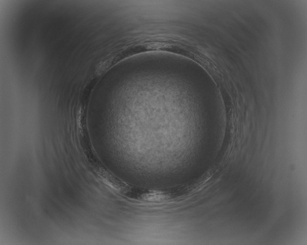 X0000082150219200702092159