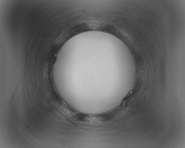 X0000082150221200702092159