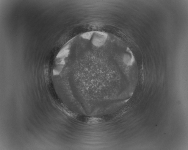 X0000082150222200702092159