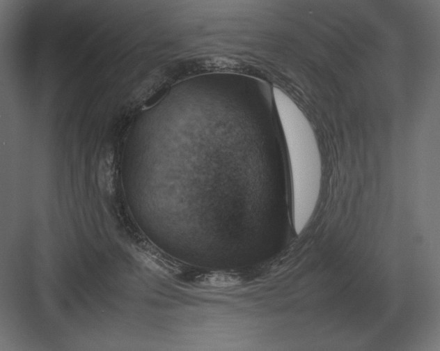 X0000082150223200702092159