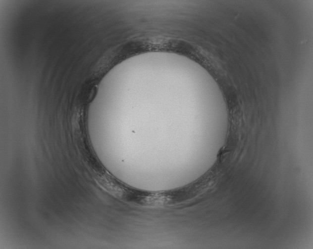 X0000082150225200702092159