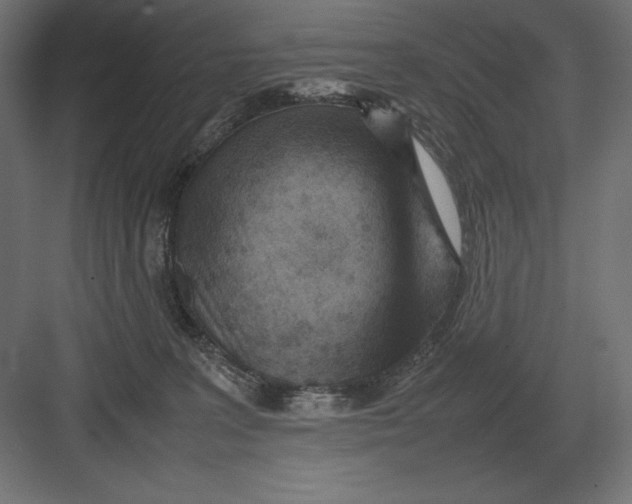 X0000082150227200702092159