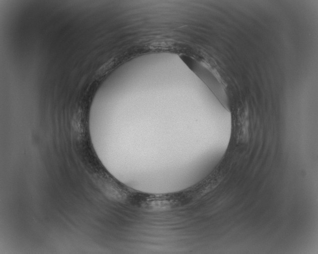 X0000082150228200702092159