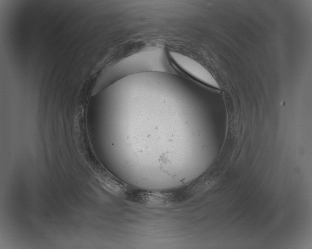 X0000082150229200702092159